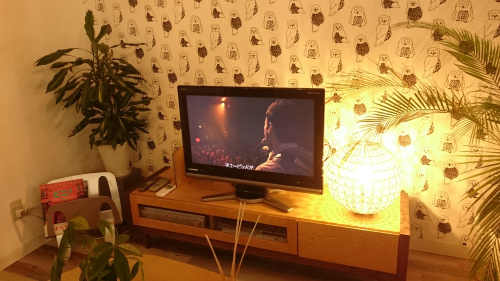 YouTubeで何を見る？の画像