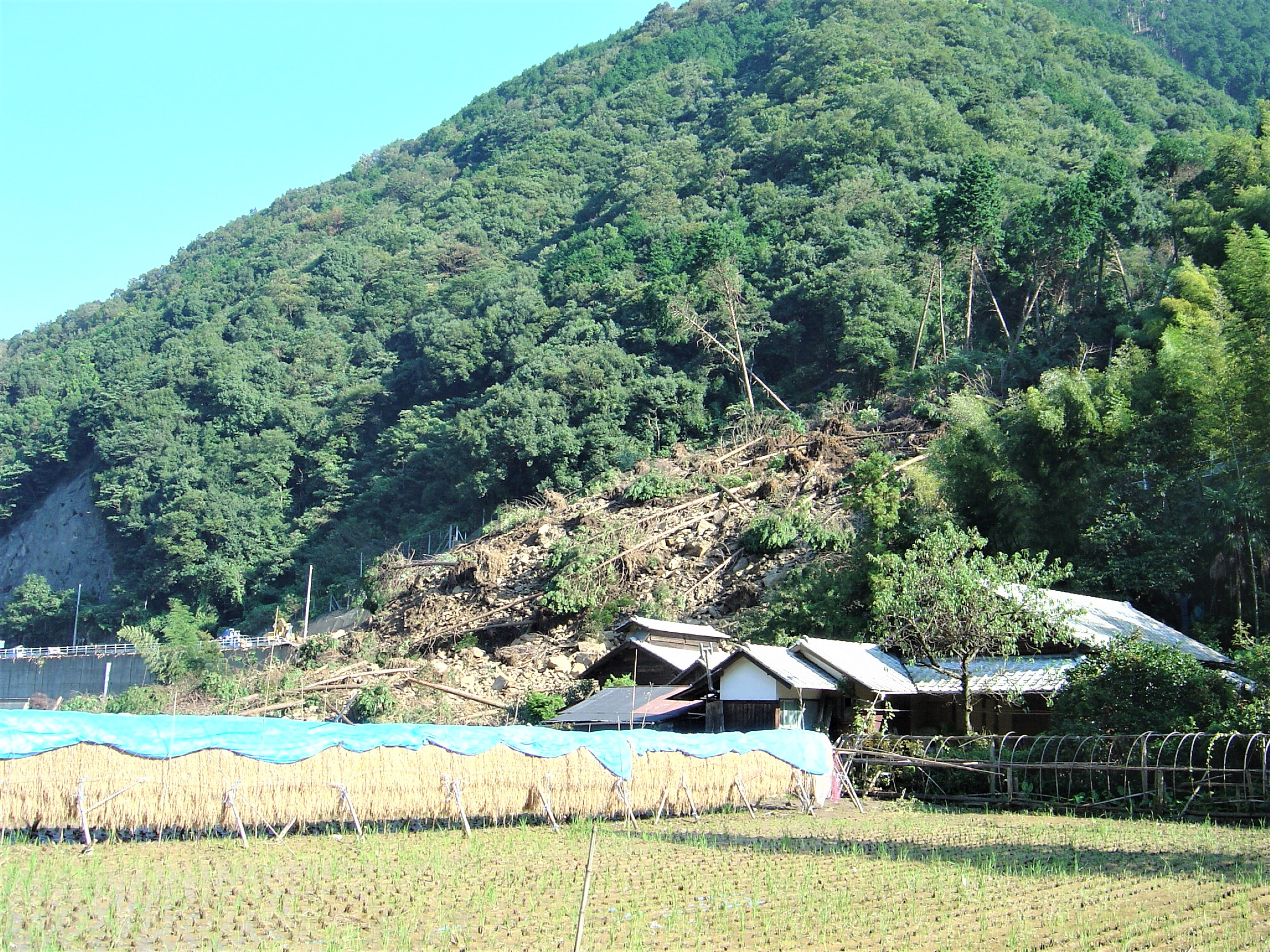 熱海　土砂崩れ　天災？　人災？の画像