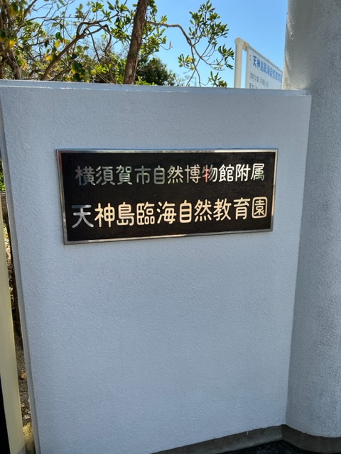 【天神島】の画像
