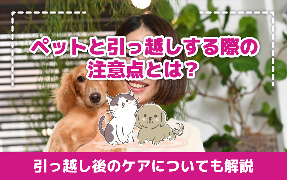 ペットと引っ越しする際の注意点とは？引っ越し後のケアについても解説の画像