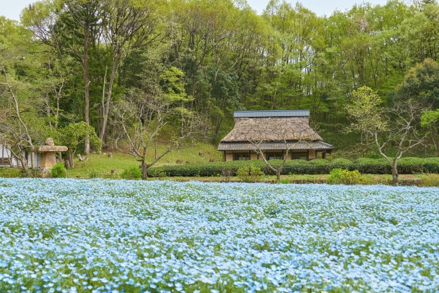 神戸市北区で自然と遊ぶ「あいな里山公園」の概要と楽しみ方をご紹介