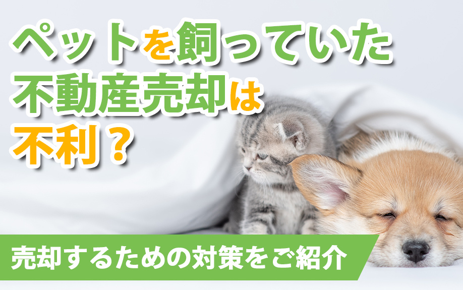 ペットを飼っていた不動産売却は不利？売却するための対策をご紹介の画像