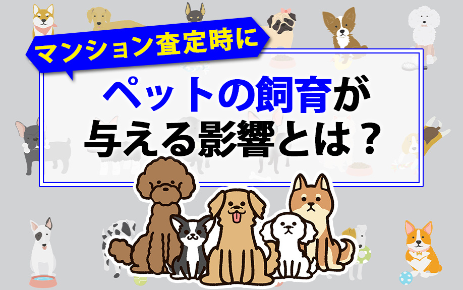 マンションの査定時にペットの飼育が与える影響とは？