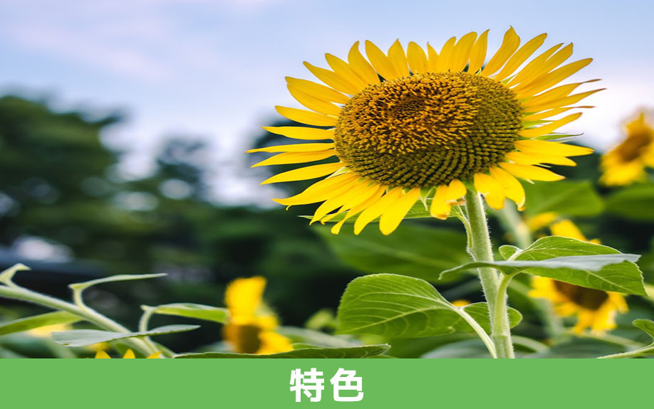 座間市にある県立座間谷戸山公園の特色は？