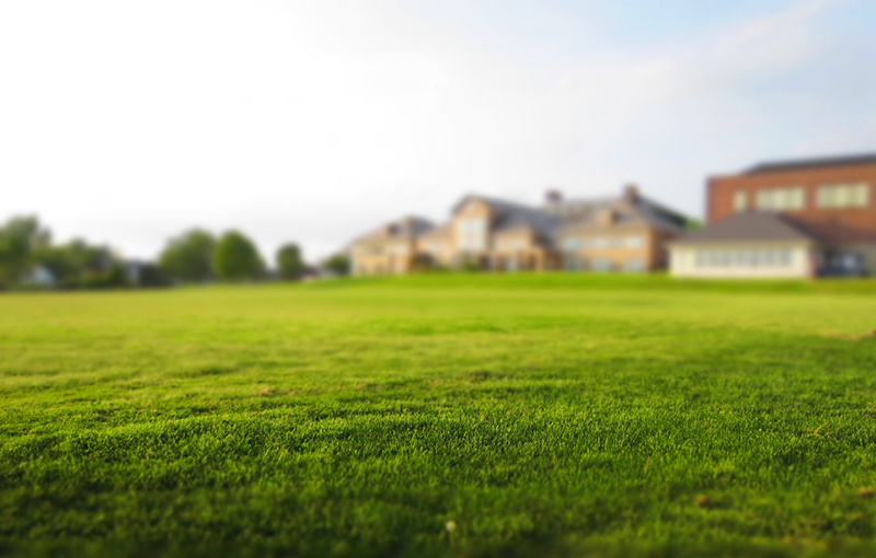 雑種地を売却する上で知っておきたいポイント