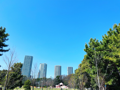 辰巳はどんな街？｜公園と団地、パークアクシス辰巳ステージで見る暮らしの画像