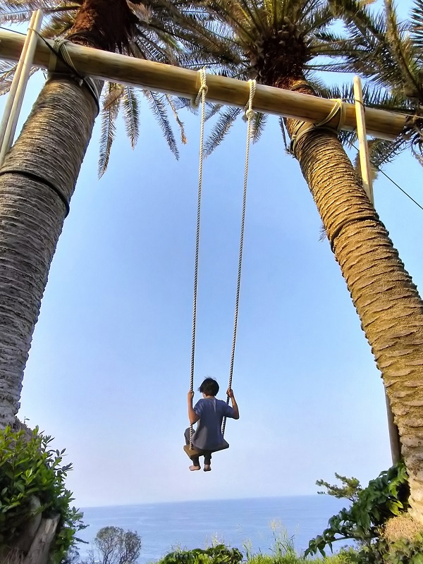 初島旅（2023.3.26）の画像