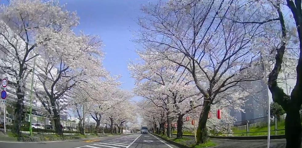 連日の～～～( *´艸｀)の画像