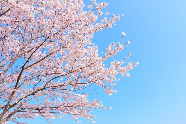 不動産売却相談で一番多いのは・・・の画像