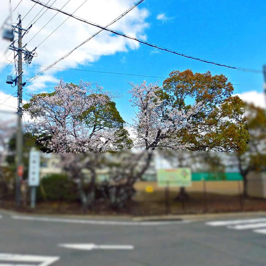 【稲沢市不動産売却】本日は稲沢市祖父江町山崎にて不動産の売却のご相談をさせて頂きましたの画像