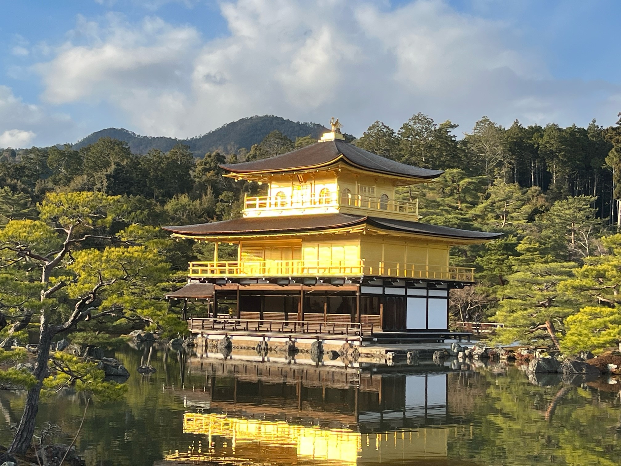 きょうとの画像