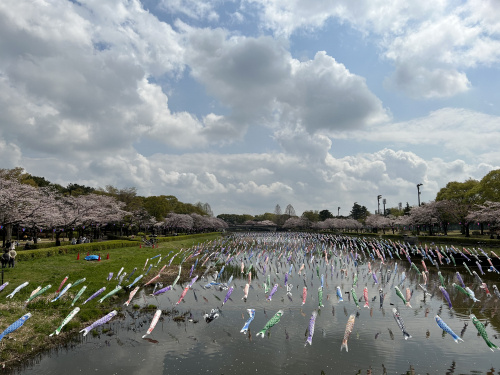 春の陽気の画像