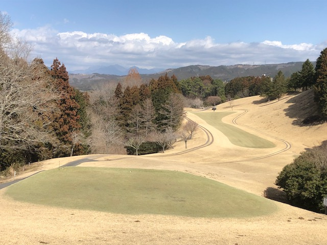 シーズン到来の画像