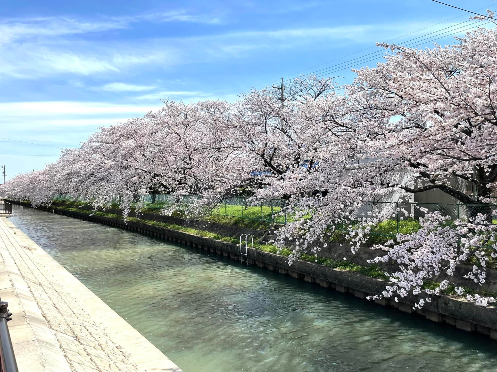 【愛西市不動産売却】穏やかな気分の画像