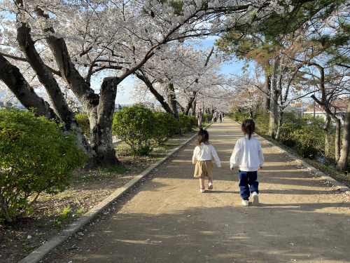 桜見てきました！の画像