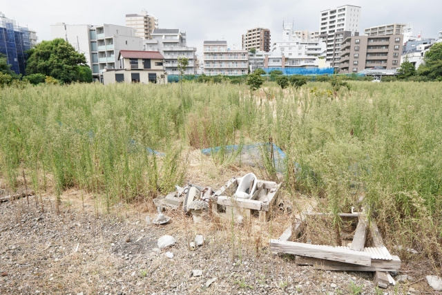 雑種地の売却方法とは？地目の確認方法についても解説の画像
