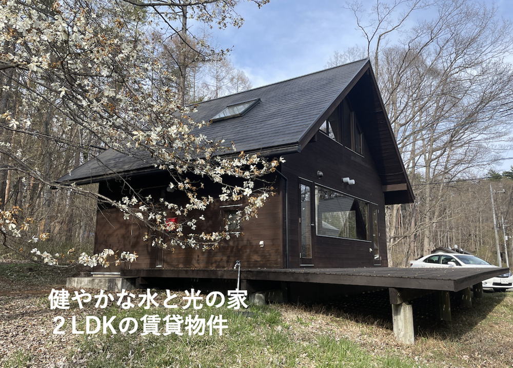 【賃貸済】賃貸の入居者募集の画像