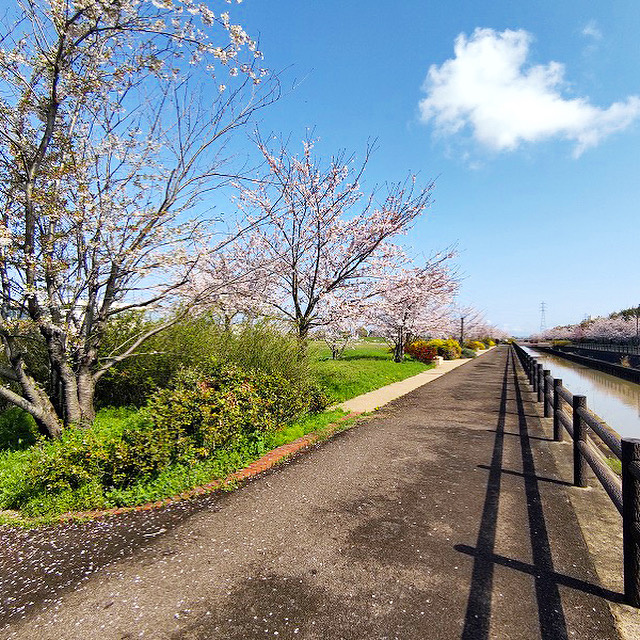 【稲沢市不動産売却】本日は稲沢市平和町下三宅にて不動産の売却のご相談をさせて頂きました。⠀の画像