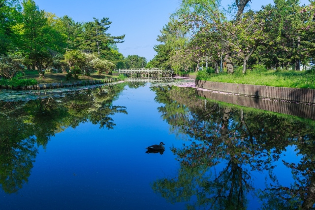 高松市にある「栗林公園」の魅力！特別名勝にも指定された庭園を堪能しようの画像