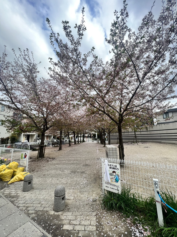 桜も散りました～の画像