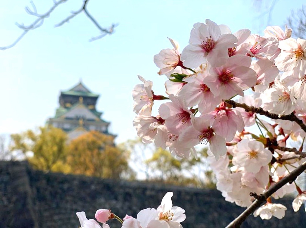 ４月スタートの画像