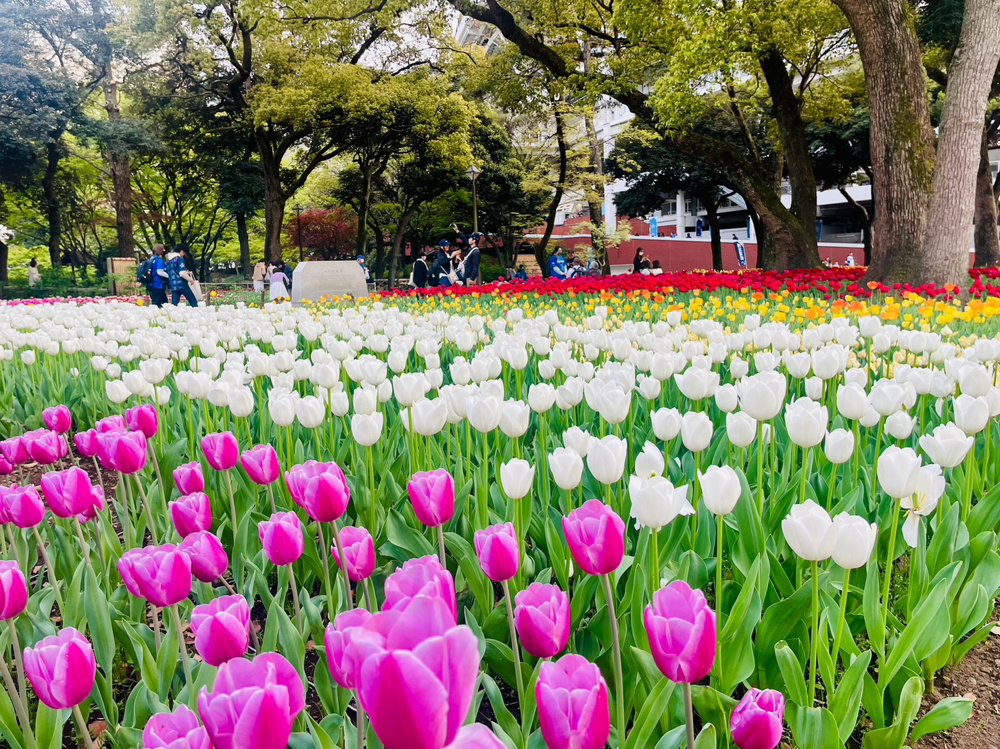 花と緑のスプリングフェアの画像