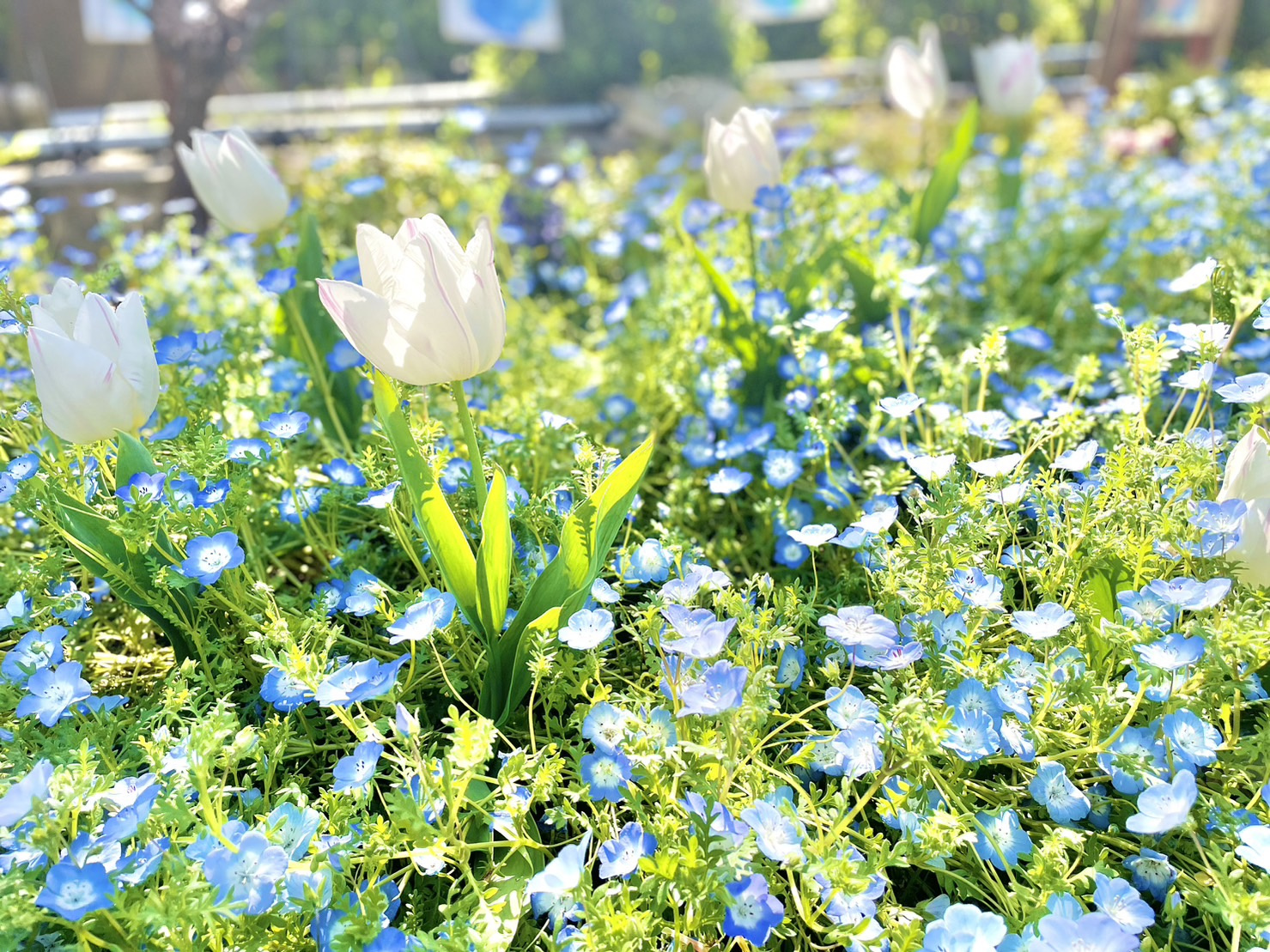 市役所での証明書発行！今の時期はめっちゃ混みます・・・の画像