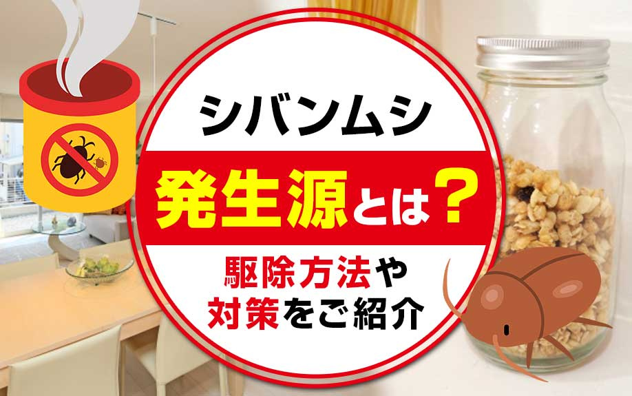 シバンムシの発生源とは？駆除方法や対策をご紹介の画像