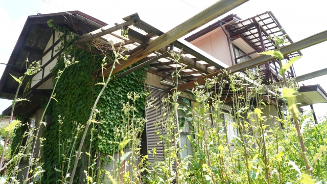 空き家でも雑草を放置しておけない理由と除草作業のプロへ依頼するメリット