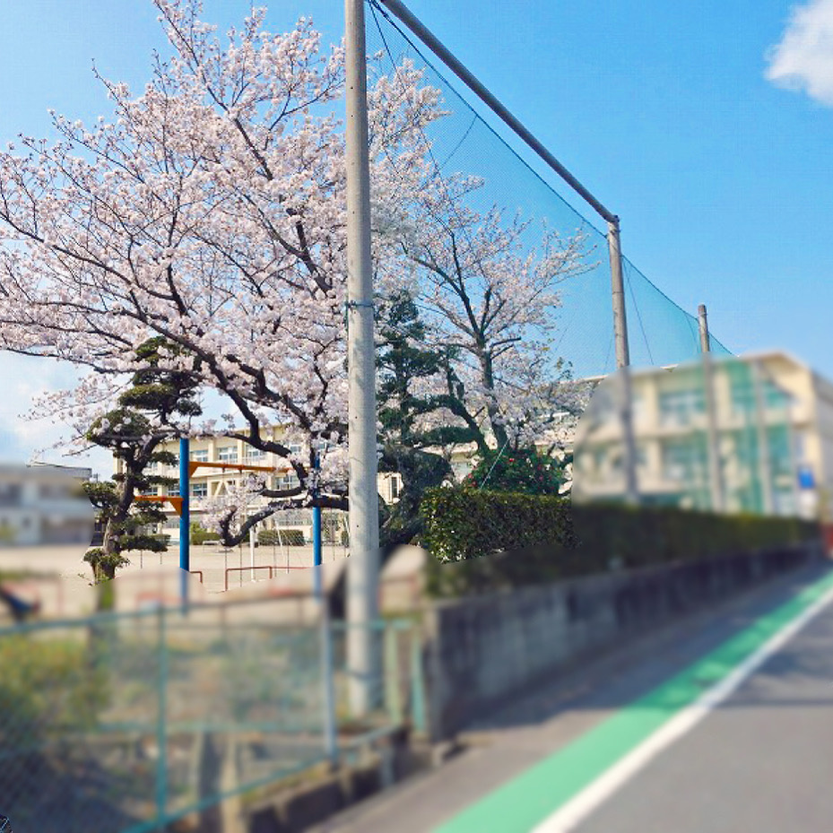 【稲沢市不動産売却】本日は稲沢市片原一色にて不動産の売却のご相談をさせて頂きました。⠀の画像