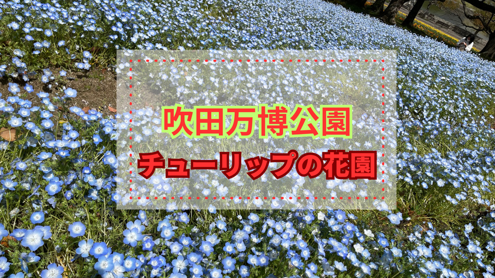 万博公園の「チューリップの花園」に行ってきましたの画像