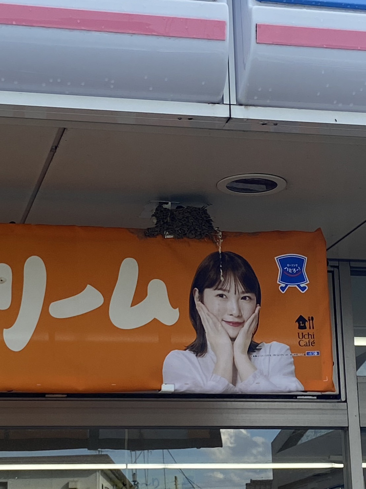ほっこりした出来事の画像