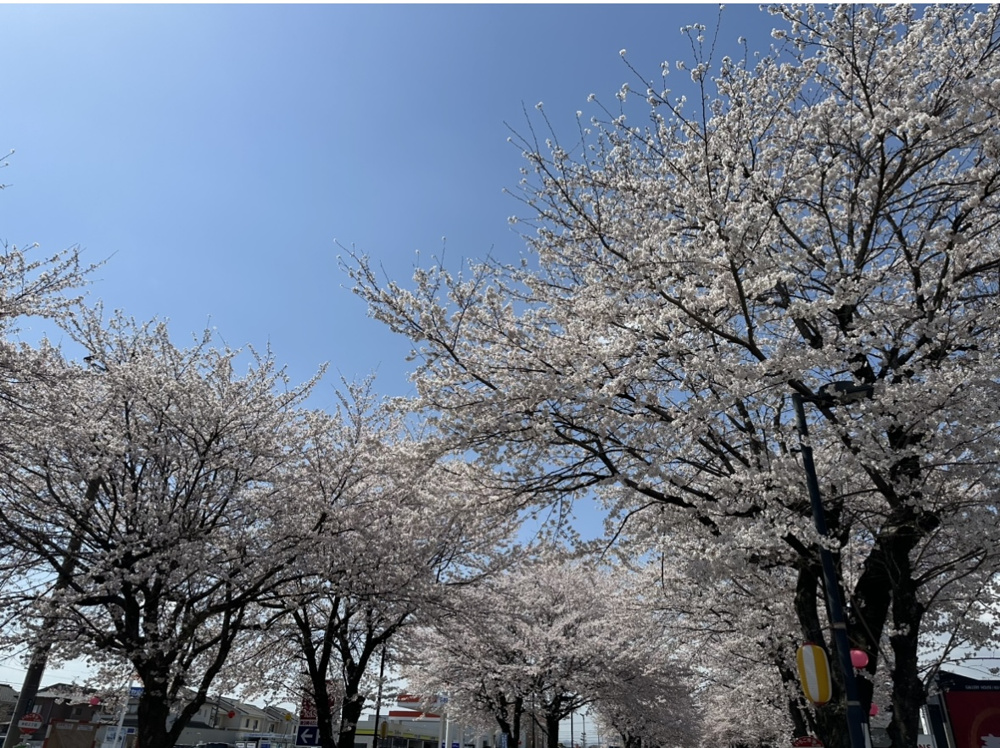 栃木ツーリングの画像