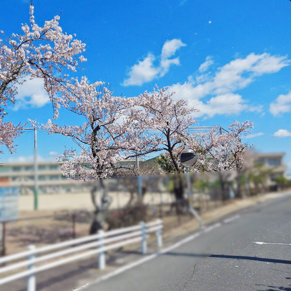 【稲沢市不動産売却】本日は稲沢市祖父江町大牧にて不動産の売却のご相談をさせて頂きました。⠀の画像