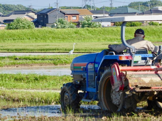 農地や遊休農地の土地活用は可能？関連制度や活用方法についてご紹介の画像