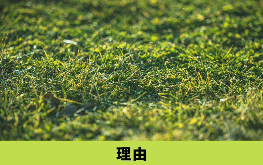 空き家の雑草を放置するとトラブルやリスクが生じる理由とは