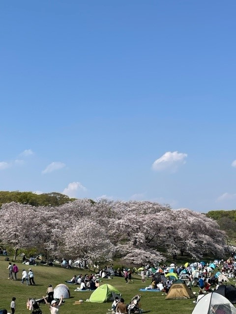 お花を見ましたの画像