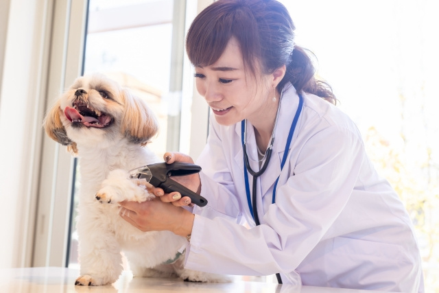 丸亀市のおすすめ「動物病院」2選！自然豊かな街でペットと暮らそうの画像