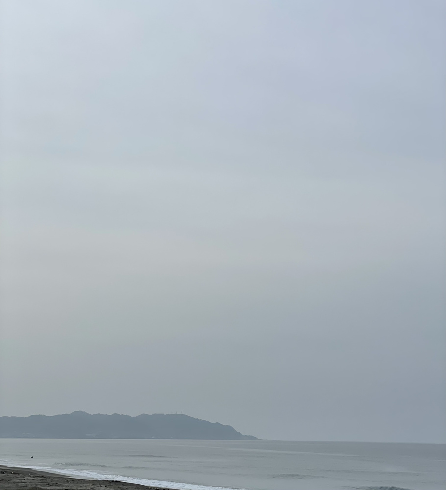 館山海鮮丼の画像
