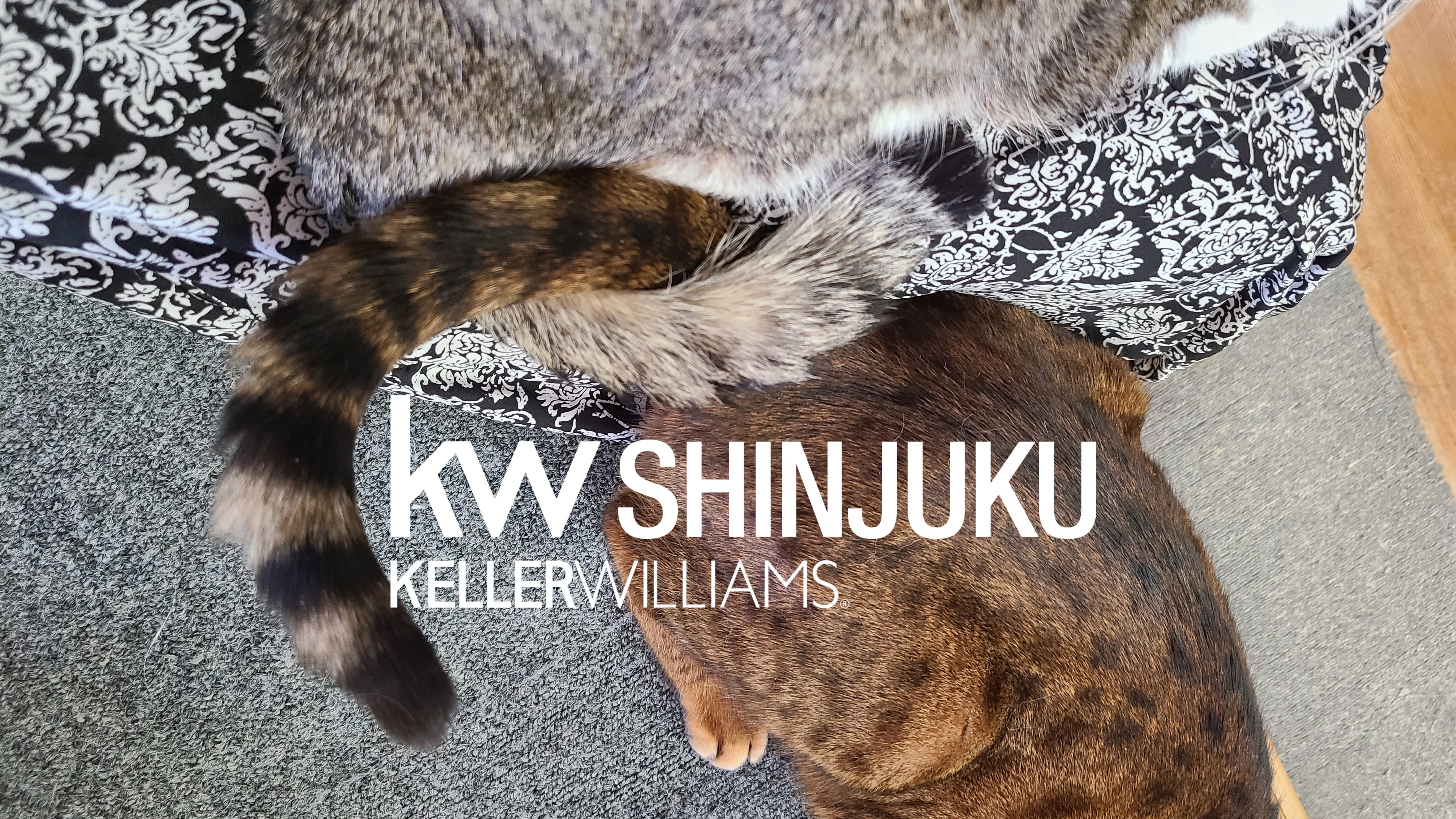 賃貸物件あるある　Vol.Ⅳの画像