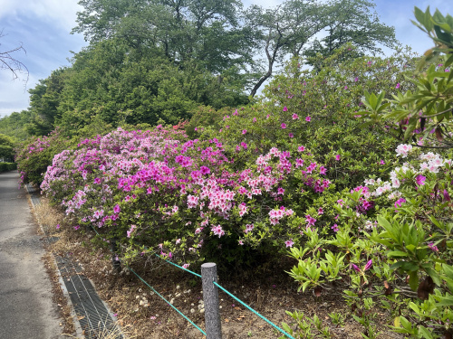 館林市の名所の画像