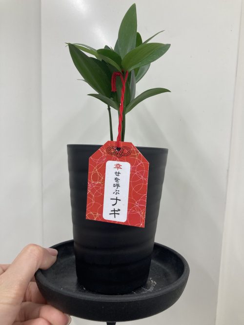 幸せを呼んでしまいます。の画像