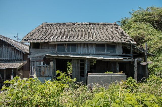 空き家の雑草対策が必要な理由とは？業者に依頼するメリットや費用をご紹介の画像