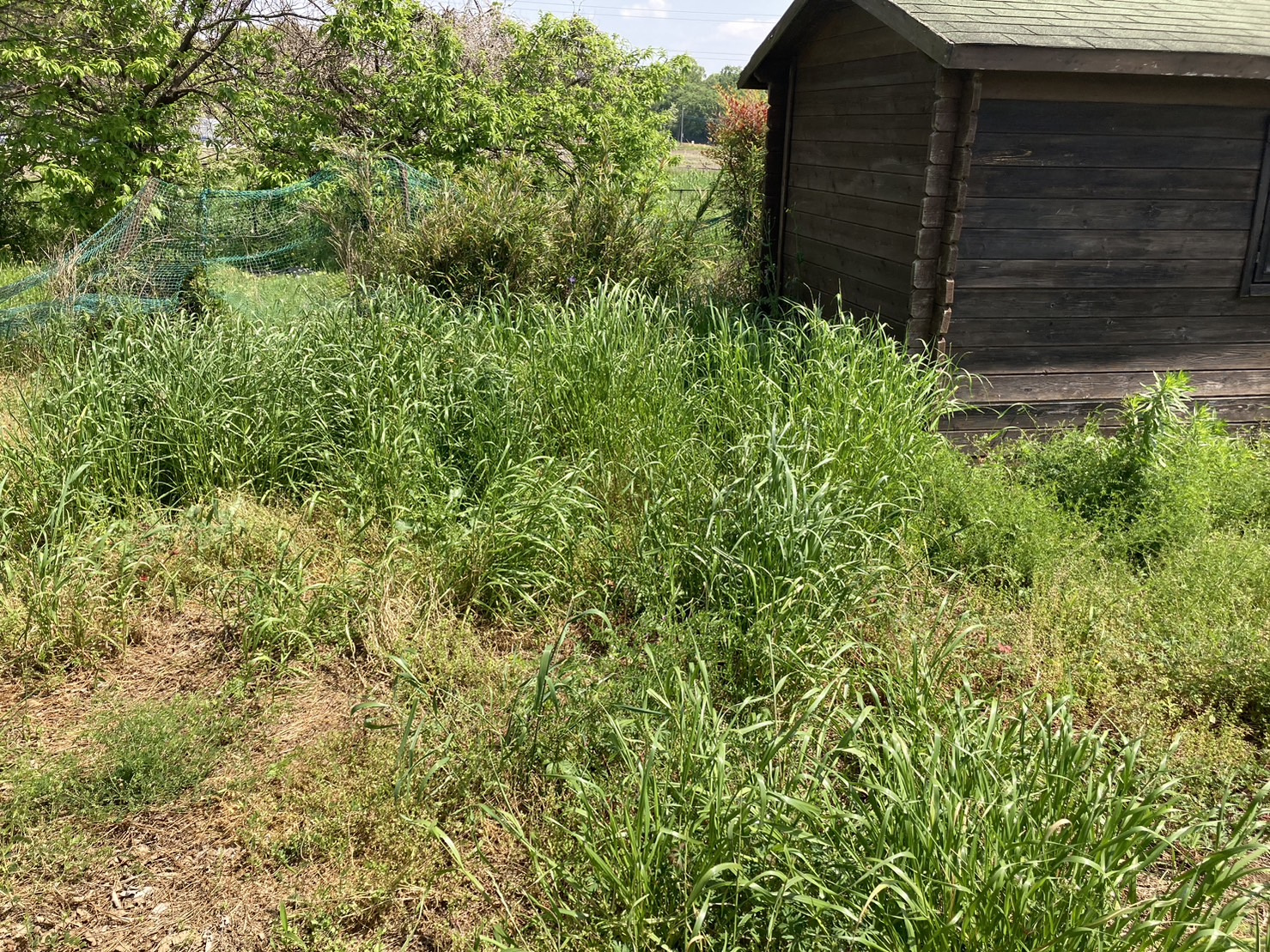 ５月１日：爪田ケ谷キャンプ場4の画像