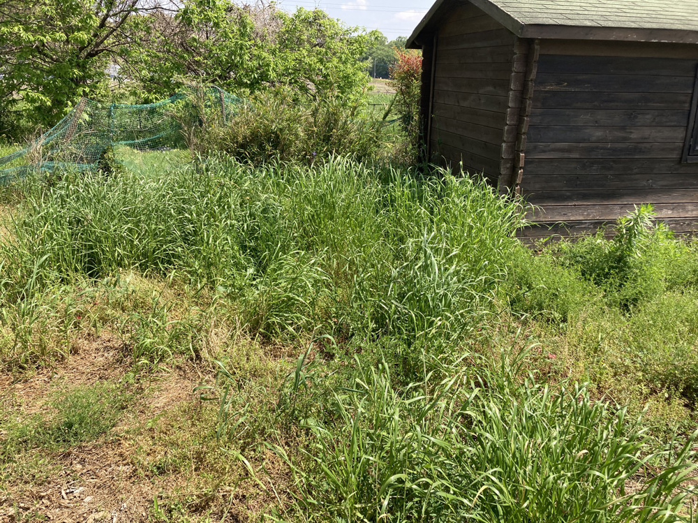 ５月１日：爪田ケ谷キャンプ場4の画像