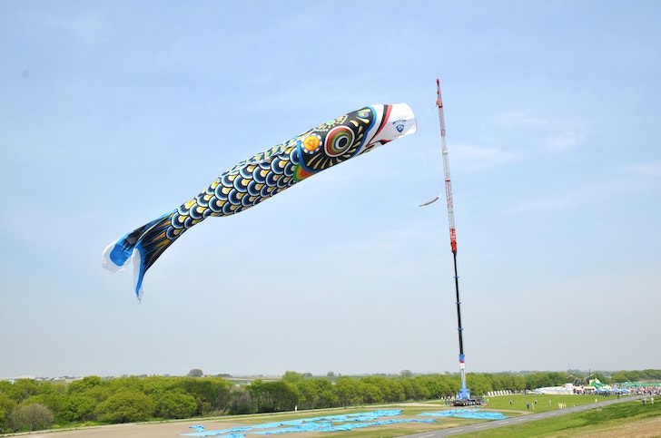 ☆ジャンボこいのぼり☆の画像