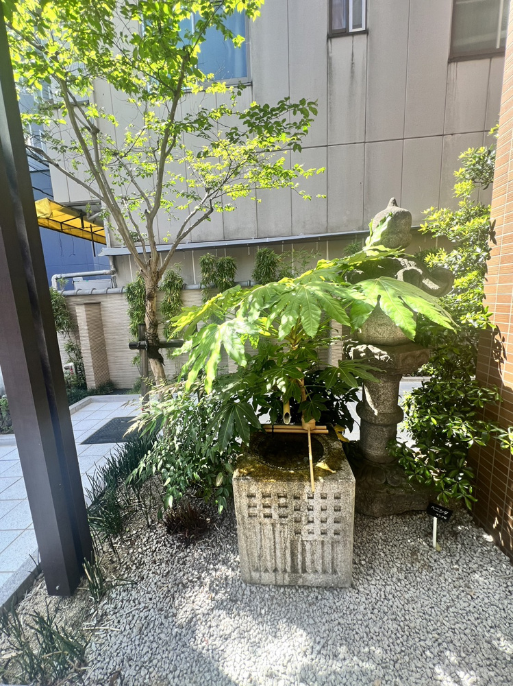 ここにも湧水が！の画像