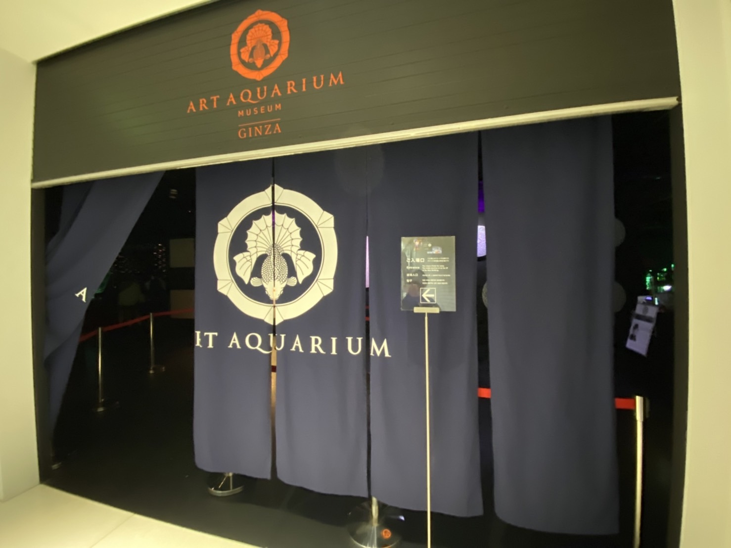 幻想的でした♪の画像