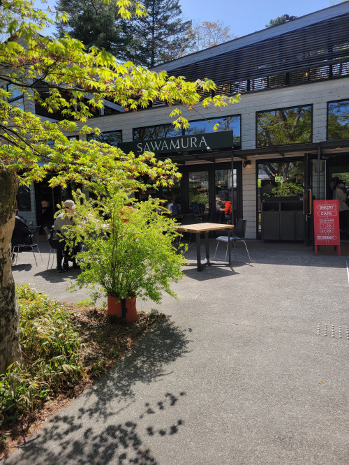 GWの画像