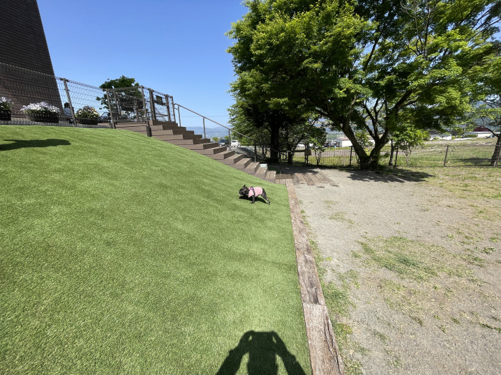 伊那市、駒ケ根市のドックランの画像